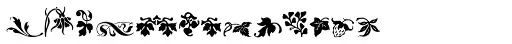 Rough Fleurons Eight