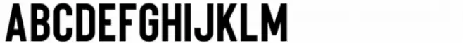 Rough Motion Bold Regular