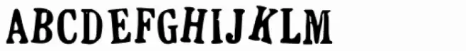 Rough Print JNL