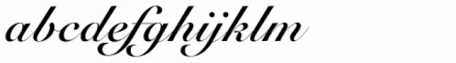 Roundhand Bold