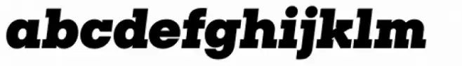 Rudi Black Italic