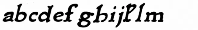 Rusch Oblique Bold