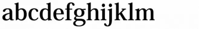 Ryo Disp PlusN Bold