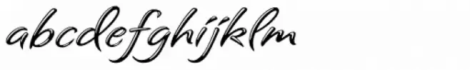 Sagrantino Highlight