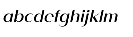 Saldo Medium Italic