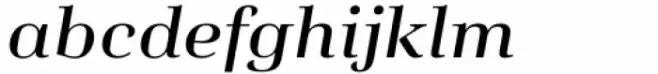 Salient Book Italic