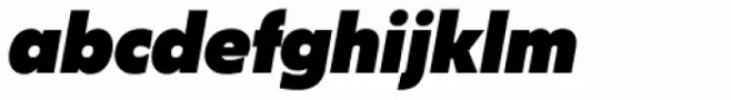 Salin Black Italic
