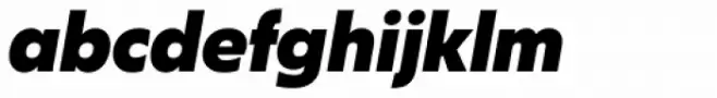 Salin Heavy Italic
