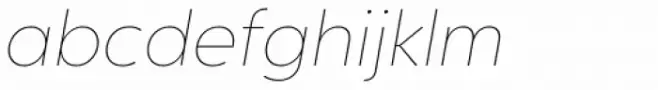 Salin Thin Italic