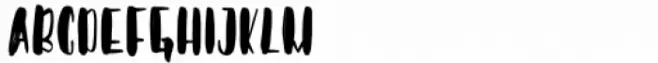 Salovad Logo Type Regular