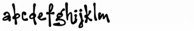 Salpicon Bold