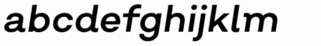 Salvatore Regular Italic