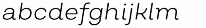 Salvatore Roman Light Italic