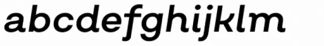 Salvatore Roman Regular Italic