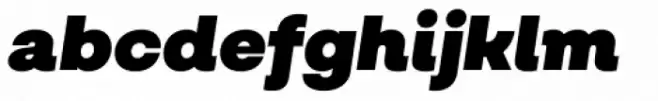 Salvatore Roman Ultra Black Italic
