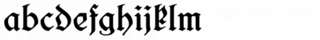 Salzmann Fraktur Medium