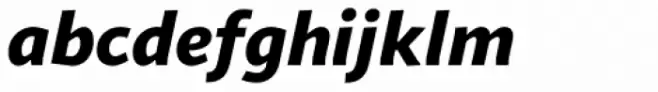 Sana Sans Alt Black Italic
