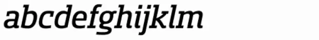 Sancoale Slab Medium Italic