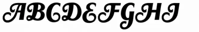 Sandena Black Cond Italic Swash Regular