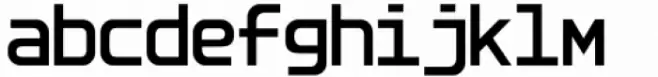 Sansduski Mono Bold
