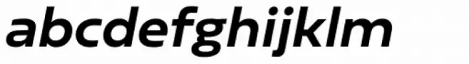 Sarun Pro Bold Italic
