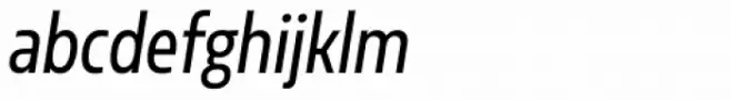 Sarun Pro Condensed Book Italic