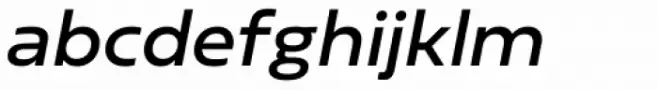 Sarun Pro Medium Italic