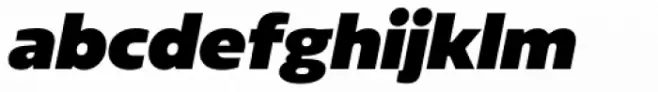 Sarun Pro Ultra Italic