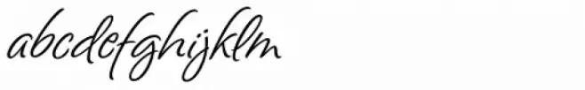 Sashay Script