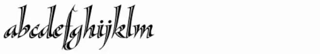 Sassafras Lx Italic