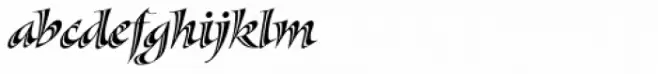 Sassafras Sx Italic