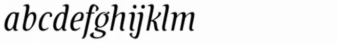Savour Pro Italic