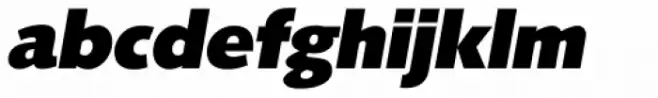 Saxony Serial Heavy Italic