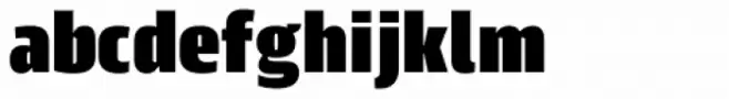 Scansky Condensed Black