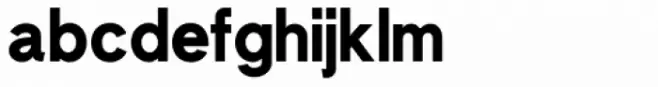 Schelter Grotesk NF Bold