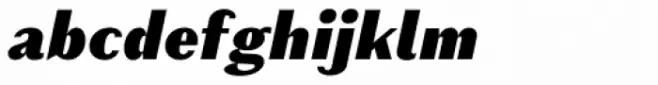 Schism Two Black Italic