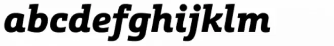 Schnebel Slab Pro Black Italic