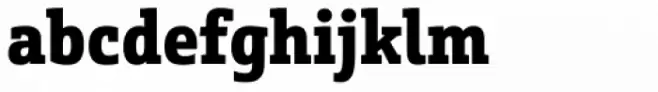 Schnebel Slab Pro Condensed Black