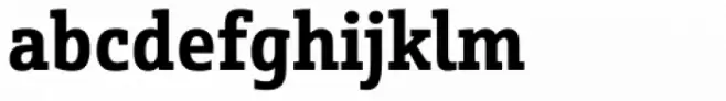 Schnebel Slab Pro Condensed Bold