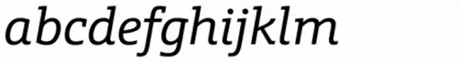 Schnebel Slab Pro Italic