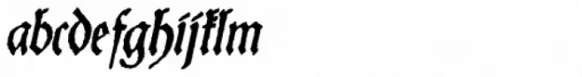 Schneider Buch Deutsch Italic