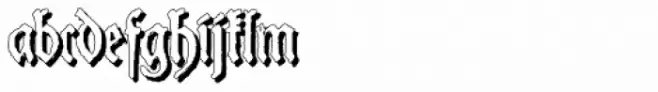 Schneider Buch Deutsch Shadow