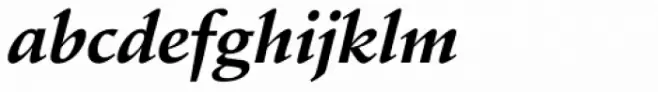 Schneidler EF Bold Italic