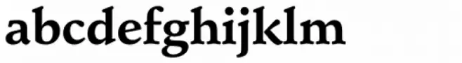 Schneidler EF Bold