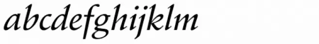 Schneidler EF Medium Italic