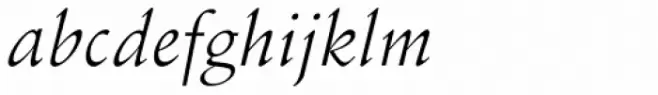 Schneidler Italic