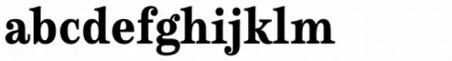 Schorel Condensed Black