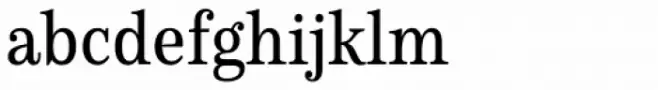 Schorel Condensed Medium