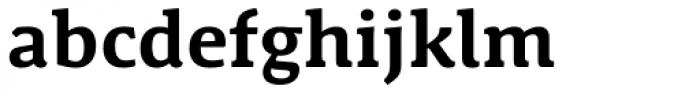 Schuss News Pro Bold