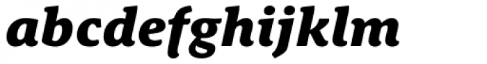 Schuss News Pro Heavy Italic